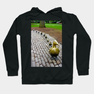 Make Way for Ducklings Study 1 Hoodie